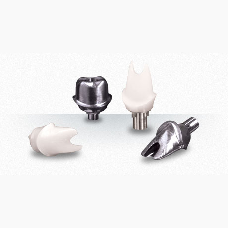 Implant-Abutments